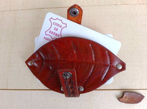 Otwarte etui na karty płatnicze liść