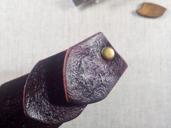 Zbliżenie na łuskę skórzanej spinki do włosów.