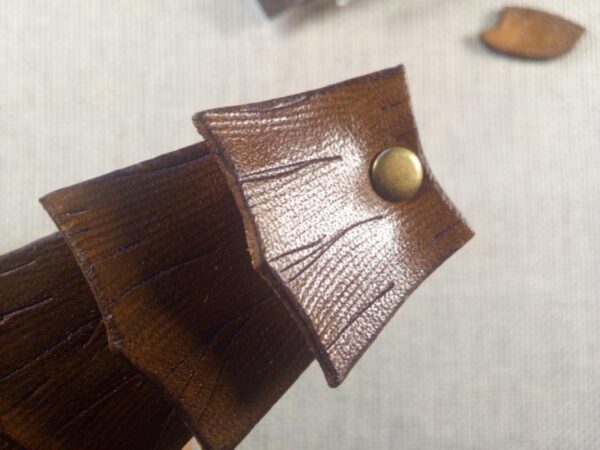 Zbliżenie na jedną łuskę nadrzewnego smoka.